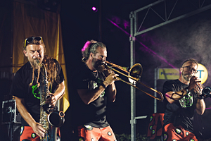 Foto del Concerto degli Antani Project a Zeccone