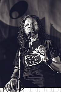 Foto del Concerto degli Antani Project a Zeccone