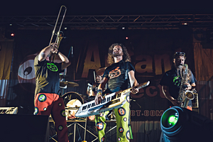 Foto del Concerto degli Antani Project a Zeccone