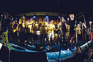 Foto del Concerto degli Antani Project a Zeccone