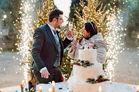 Foto Matrimonio con Fontane Pirotecniche al Castello di Belgioioso